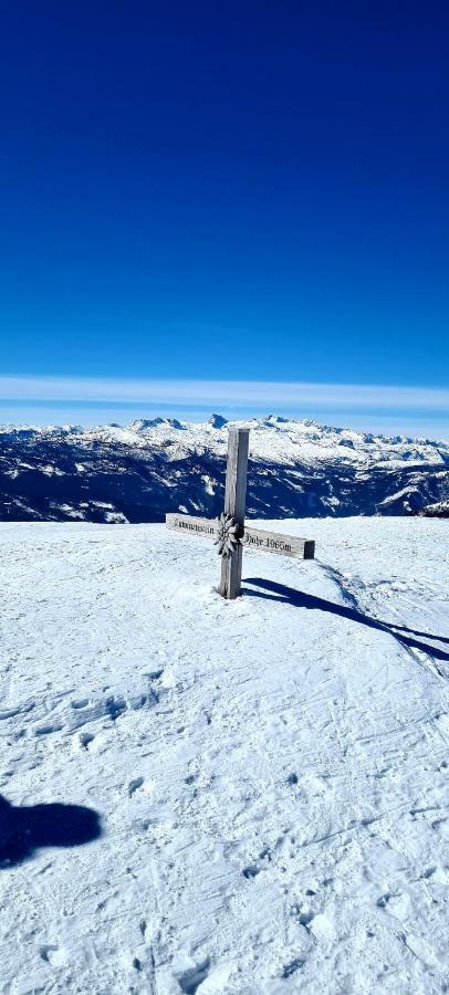 Ferienwohnungen Bergpanorama Bad Mitterndorf Zewnętrze zdjęcie