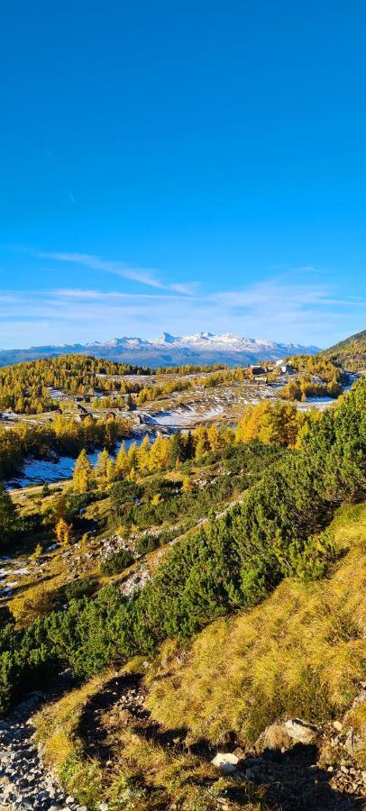 Ferienwohnungen Bergpanorama Bad Mitterndorf Zewnętrze zdjęcie