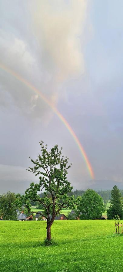 Ferienwohnungen Bergpanorama Bad Mitterndorf Zewnętrze zdjęcie