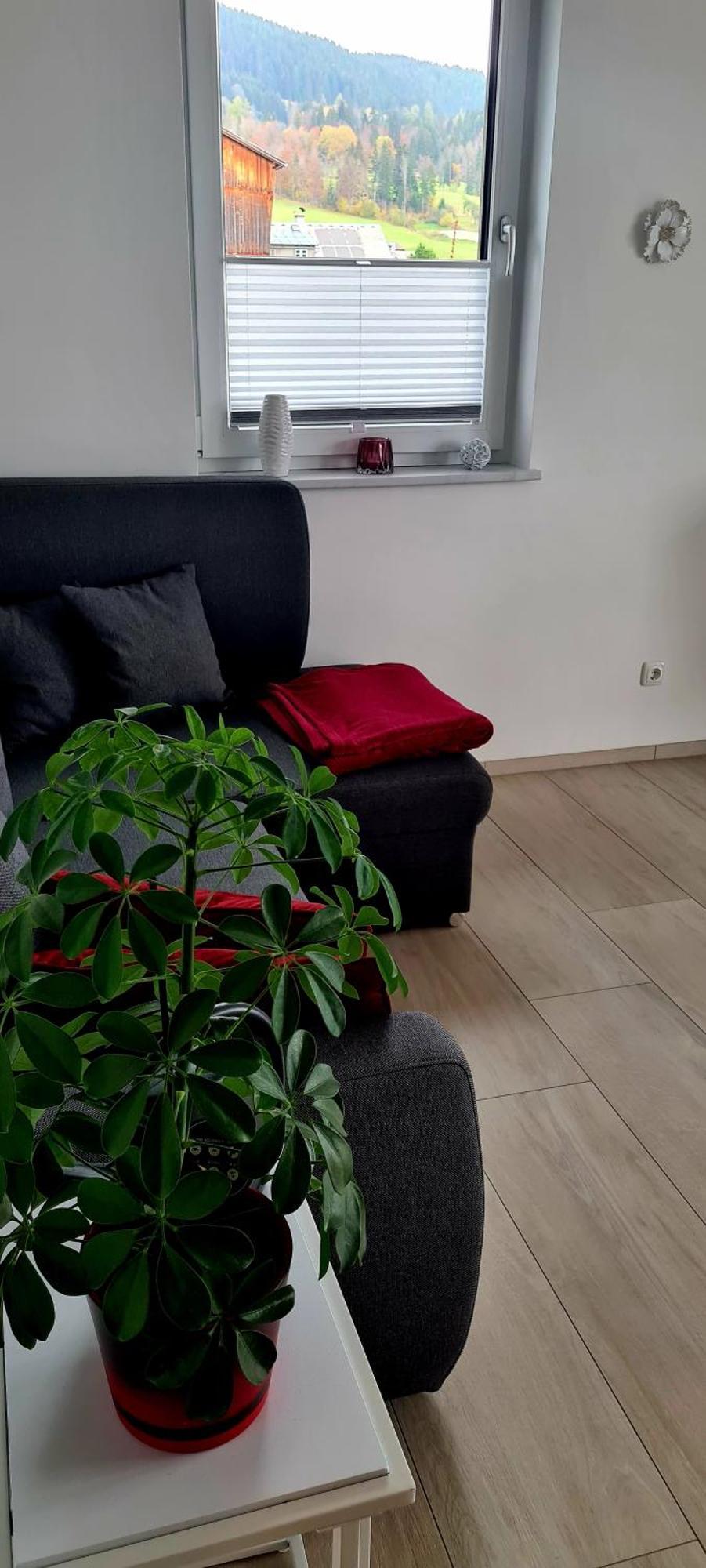 Ferienwohnungen Bergpanorama Bad Mitterndorf Pokój zdjęcie